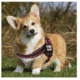 Thin Blue Line Dog Harness, , Thin Red Line - DOG-HARN-TRL-LARGE-KIT