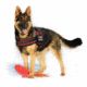 Thin Blue Line Dog Harness Thin Red Line - DOG-HARN-TRL-XXL-KIT