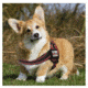 Thin Blue Line Dog Harness Thin Red Line - DOG-HARN-TRL-XXL-KIT