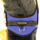 Thin Blue Line Harness With Patch, Thin Blue Line - DOG-HARN-TBL-MEDIUM-KIT