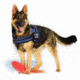 Thin Blue Line Harness With Patch, Thin Blue Line - DOG-HARN-TBL-MEDIUM-KIT