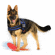 Thin Blue Line Harness With Patch, Thin Blue Line - DOG-HARN-TBL-XXL-KIT