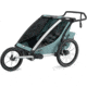 Thule Chariot Cross 2, Alaska, 10202024
