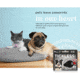 Tickless Tickless Ultrasonic Repeller