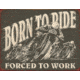 Tin Signs Born To Ride Tin Sign, TSN1885