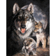 Tin Signs Graham Wolf Experienc Tin Sign TSN0914