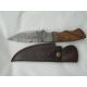 Titan 15N20/1095 Steel Fixed, Hunting Knife TDK-59