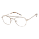 TLG NU036 Bifocal Prescription Eyeglasses - Frame BRUSHED GOLD, Size 51/21mm LYNU03601