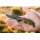 Tops Knives Wind Runner Snake River Edition Fixed Blade Knife / 6.25 in Recurved Blade, WDR-02