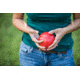 Triumph 100 mm Composite Bocce Ball Set, 35-7171