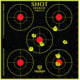 Triumph Systems Shot Seeker Non Adhesive Bullseye Target 10-Pack, 12 in x12 in, 0900-20-002
