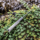 TRIVISA Gemini Slip Joint Bone