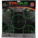 TruGlo Target 5-Bull 12X12, 12 Pack, TG-TG11A12