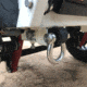 Tuff Stuff Overland Expedition Trailer, White/Black, NSN N, TS-TRAILER-EC