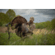 Bowhunter Examining Turkey