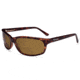 Typhoon Cancun+ 2.5 Reader Sunglasses - Tortoise frame, Sunset Brown A2 Polarized +2.5 Lenses 916TBR+2.5