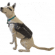 Ultimate Direction Dog Vest - Mens, Black, Small, 80469820BK-SM