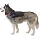 Ultimate Direction Dog Vest - Mens, Black, Small, 80469820BK-SM