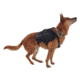 Ultimate Direction Dog Vests - Unisex, Black, Large, 80479723ONX-LG