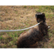 United States Tactical K9 Handlers Leash, 6ft, Black, UST-K9L00306