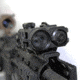 US Night Vision Triad Dual-Beam Class 1 Weapon Laser, .7mW IR Laser,  5mW Green Laser, Black 8766