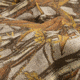 Vanish Bulk Camo Burlap Roll, Glare Free Hunting Blind Material, 12-Yards L x 54inW, Natural/Allen Company Grain Belt Camo, 25338