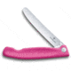 Victorinox Swiss Classic Fld Paring Pnk Folding Knife, Round tip blade, Pink polypropylene handle, 6.7836.F5B