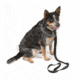 Viking Tactics VTAC Ranger Buddy Dog Leash/Collar Combo, Black, Large VTAC-RB-DLC-LG