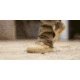 Viktos Armory AR670 Boot - Mens, Coyote Dark, 10, 1007706