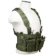 VISM AR &amp; Pistol Mags Chest Rig, Green, CVARPCR3031G