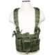 VISM AR &amp; Pistol Mags Chest Rig, Green, CVARPCR3031G