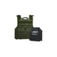 VISM Armor Plates and Carrier