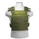 Vism By Ncstar Fast Plate Carrier for 10x12in Plates, Green, CVPCF2995G