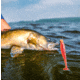 VMC Tungsten Moon Eye Jig