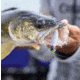 VMC Tungsten Moon Eye Jig