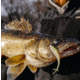 VMC Tungsten Moon Eye Jig