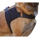 Voodoo Tactical Alpha Duty Harness, Black, 20-0231001000