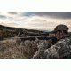Vortex Razor HD LH 2-10x40 Rifle Scope with HSR-4, Black RZR-1558