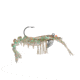 Vudu Baby Shrimp