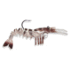 Vudu Baby Shrimp