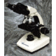 VWR VistaVision Upright Compound Microscopes 11389-204 Microscopes With Binocular Head