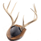 Walnut Hollow Antler Mount Kit 1302344