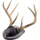 Walnut Hollow Antler Mount Kit 1302345