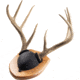Walnut Hollow Antler Mount Kit 1302346