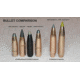 Ammunition Size Comparison