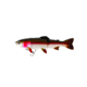 Westin Tommy The Trout Jointed Hybrid Swimbait, Low Floating, Rainbow Trout, 5-7/8in, 1-7/16oz, P060-178-025
