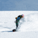 Weston Backwoods Carbon Splitboard, 160, 3044