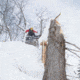 Weston Backcountry Pow Surfer Snowboard, 157 3103