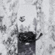 Weston Hatchet Snowboar, 152cm, 22.006.A05.152V0