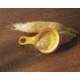Weston Products Corn Desilker Brush Tool, 70-1203-W